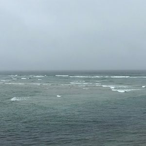 Meet your Posher, Domenic